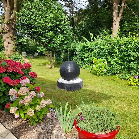 La Clairiere Du Seignanx Bed & Breakfast Saint-Martin-de-Seignanx Exterior photo