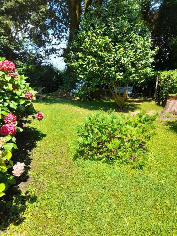 La Clairiere Du Seignanx Bed & Breakfast Saint-Martin-de-Seignanx Exterior photo