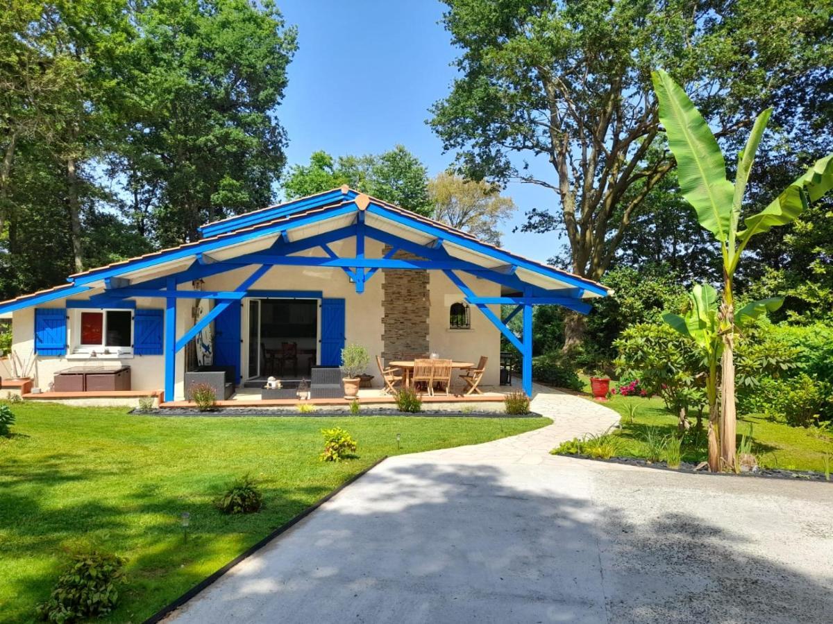 La Clairiere Du Seignanx Bed & Breakfast Saint-Martin-de-Seignanx Exterior photo