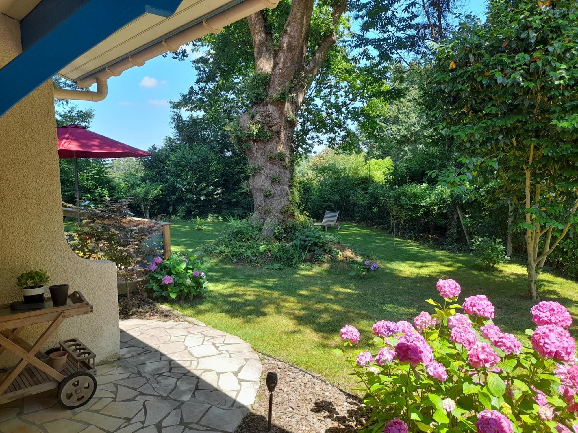 La Clairiere Du Seignanx Bed & Breakfast Saint-Martin-de-Seignanx Exterior photo